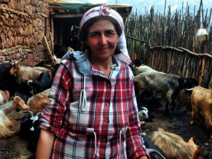 Dersimli kadın çiftçi: Bu şartlarda hayvancılık yapmak artık çok zor!