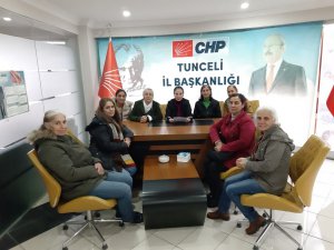 CHP’li kadınlardan "25 Kasım" açıklaması