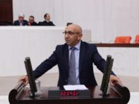 Önlü’den 'Anadil' soru önergesi