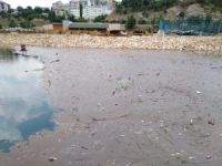 Munzur ve Pülümür Çayı temizlendi
