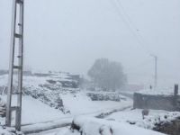 Ağrı'da Mayıs ayında kar sürprizi