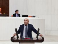 Milletvekili Önlü "GBT" konusunu Meclis'e taşıdı