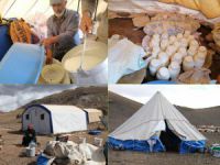 3000 rakımlı Bağır Dağı’nda yaylacılık: İşimiz zor ama ekmek parası için çalışıyoruz