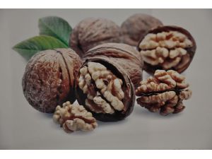 “Pülümür’ün Kabuklu Hazinesi” projesi
