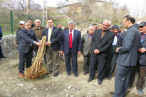 Çemişgezek’te Karadut fidanı dağıtıldı galerisi resim 2