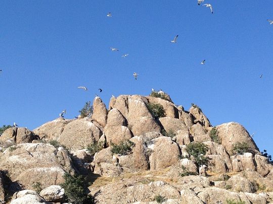 Pertek’te Bir Doğa Harikası galerisi resim 1