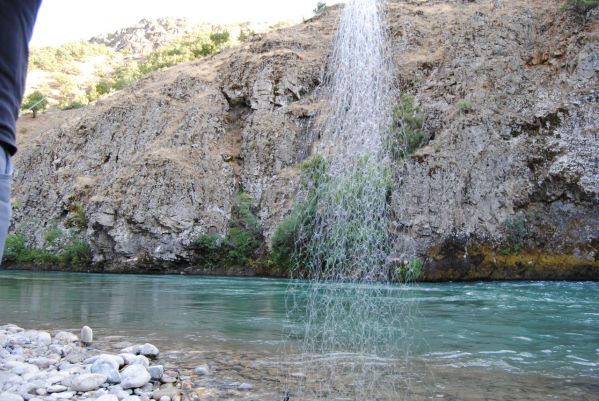 Tırı vırı, balık neslini kurutuyor galerisi resim 1