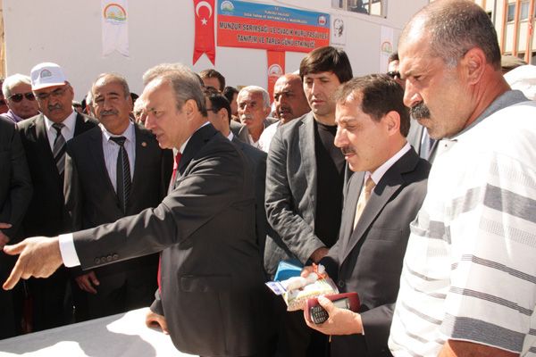 Ovacık Dağ Sarımsağı ve Fasulyesi  Markalaştırıldı galerisi resim 3