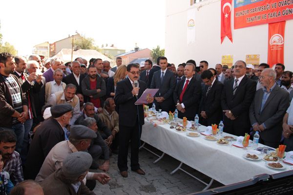Ovacık Dağ Sarımsağı ve Fasulyesi  Markalaştırıldı galerisi resim 5