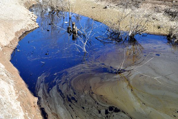 Fuel oil baraj gölünü kapladı galerisi resim 2