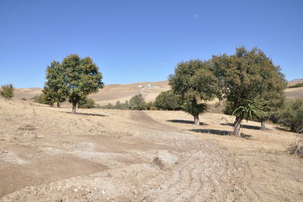 Belediye su getirmekten vazgeçti galerisi resim 3