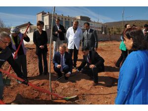 Tunceli'de ağaçlandırma çalışmaları başladı