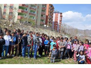 Belediye ve Ekoloji Komisyonu Fidan Dikti