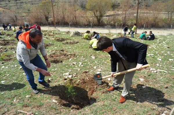 Hozat’ta fidan dikimi gerçekleşti galerisi resim 1