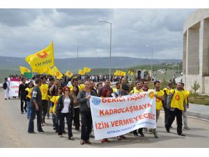 Veteriner ataması, Üniversiteyi ayaklandırdı