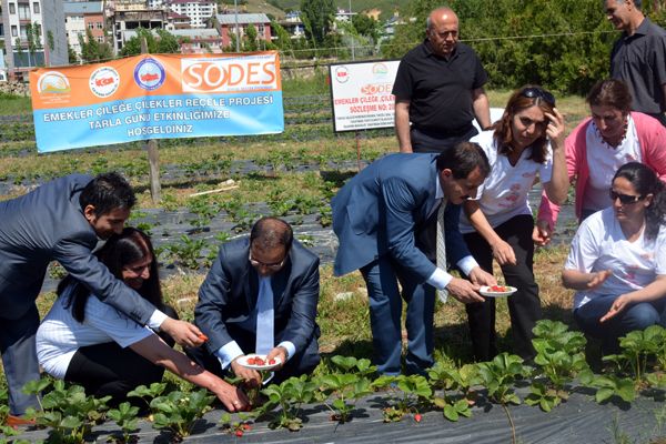 Tunceli'de Tarla Günü Etkinliği galerisi resim 1