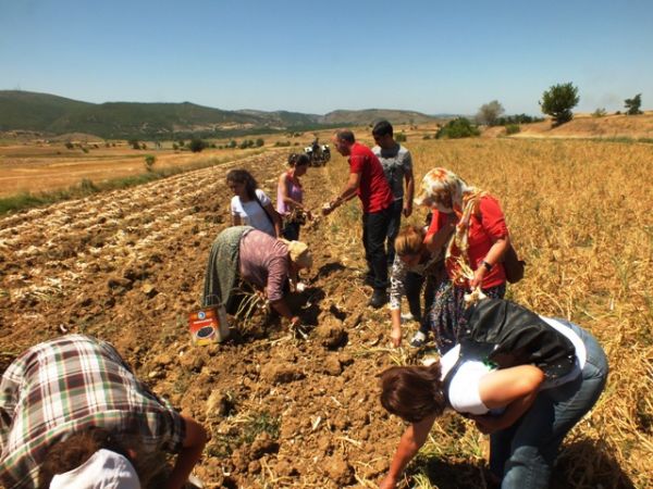 SODES Kastamonu Gezisi galerisi resim 5