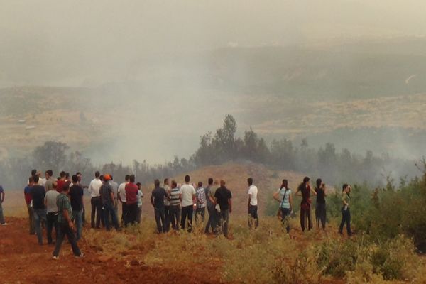 Tunceli'de korkutan yangın galerisi resim 4