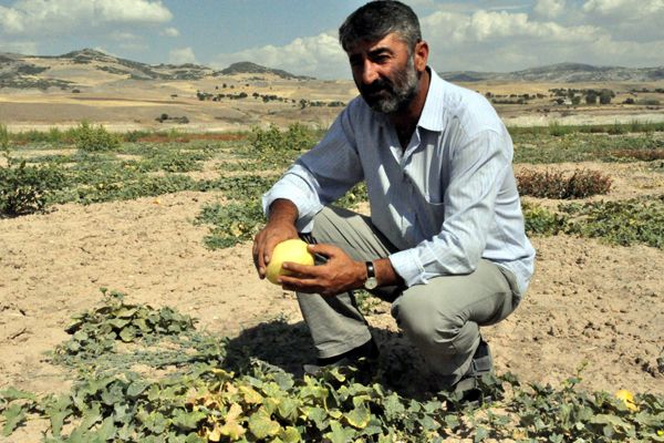 Kultik ve Çekirdeği keşfedilmeyi bekliyor galerisi resim 3