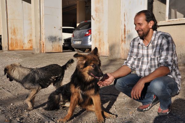 Beli kırılan köpeğe yürüteçli destek galerisi resim 1