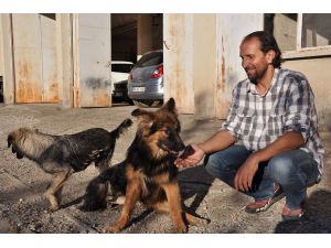 Beli kırılan köpeğe yürüteçli destek