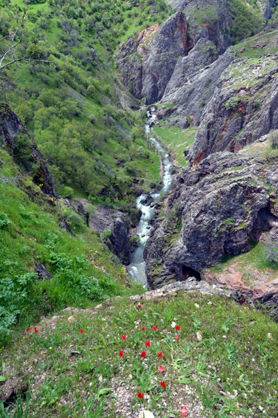 Doğa gezginleri Dersim’i sevdi galerisi resim 6