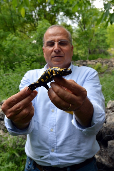 Dersim’de "Lekeli Semender" arandı galerisi resim 2