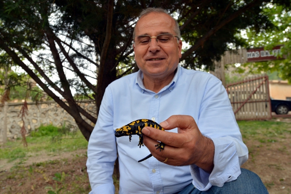 Dersim’de "Lekeli Semender" arandı galerisi resim 5