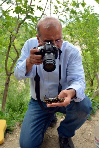 Dersim’de "Lekeli Semender" arandı galerisi resim 6