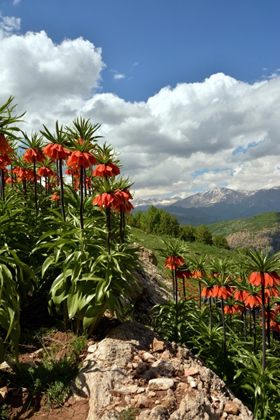 Dersim'in dağları "Ağlayan Gelinler"le süslendi galerisi resim 3