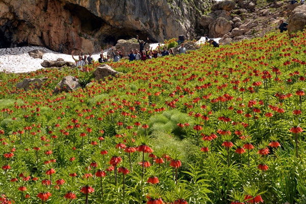 Dersim'in dağları "Ağlayan Gelinler"le süslendi galerisi resim 5