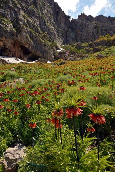 Dersim'in dağları "Ağlayan Gelinler"le süslendi galerisi resim 8