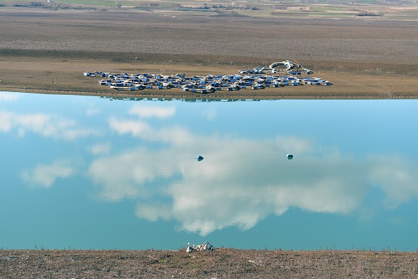 Tunceli kafes balıkçılığında iddialı galerisi resim 6