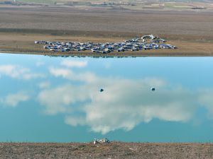 Tunceli kafes balıkçılığında iddialı