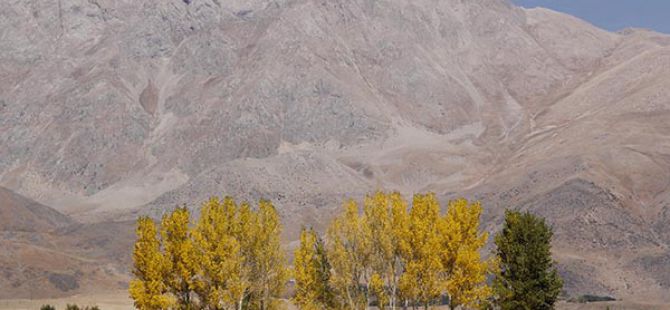 Ovacık'ta güz renkleri göz kamaştırıyor