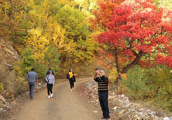 Dersim’de sonbaharla gelen "Renk Cümbüşü" galerisi resim 6