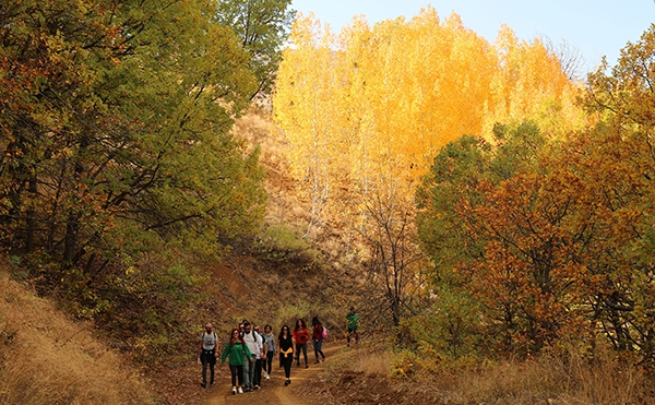 Dersim’de sonbaharla gelen "Renk Cümbüşü" galerisi resim 9