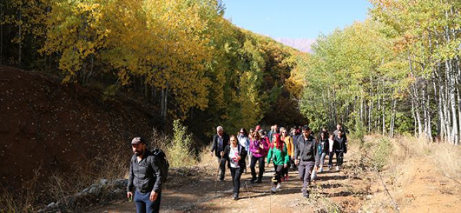 Dersim’de sonbaharla gelen "Renk Cümbüşü"