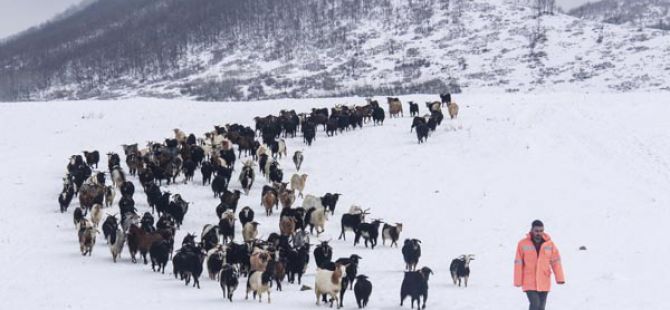 Ovacık'ta kış, zorlukları ve güzellikleriyle yaşanıyor