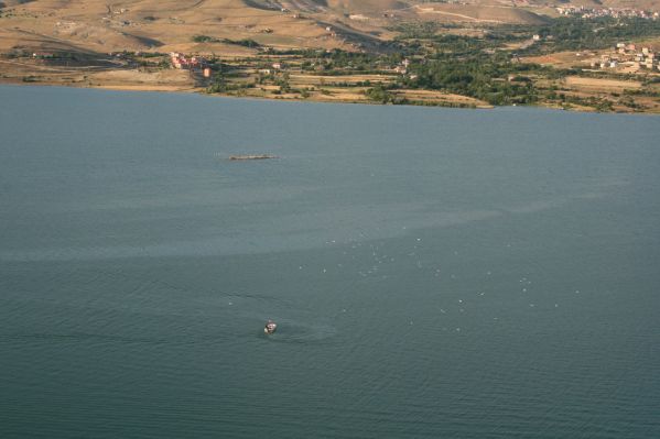 Kaymakamdan köprü açıklaması galerisi resim 3