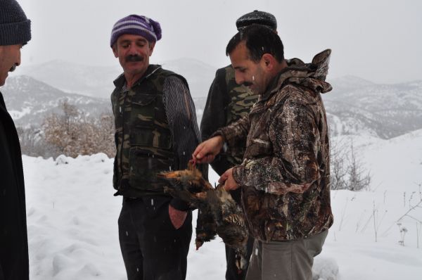 Av ve Yaban Hayatını Koruma Ekipleri,  Tunceli’de galerisi resim 3