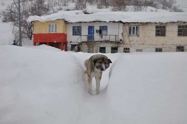 Tunceli'de 233 Köy Yolu Ulaşıma Kapandı galerisi resim 5