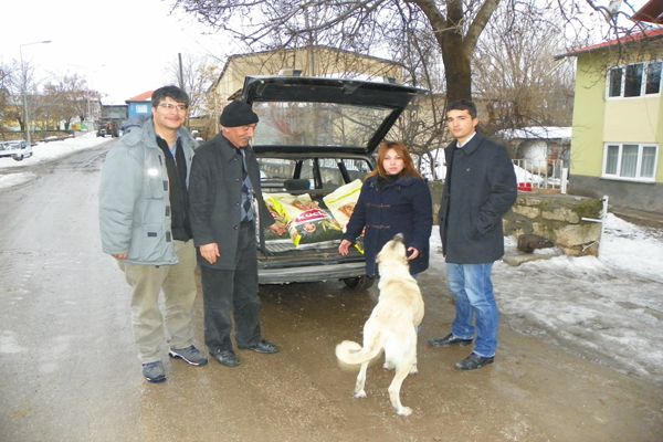 Çemişgezek, Sokak Köpeklerine Sahip Çıkıyor galerisi resim 1