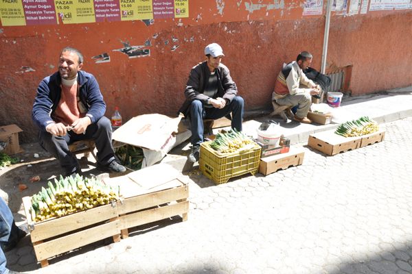 Gulik, pazara indi galerisi resim 2