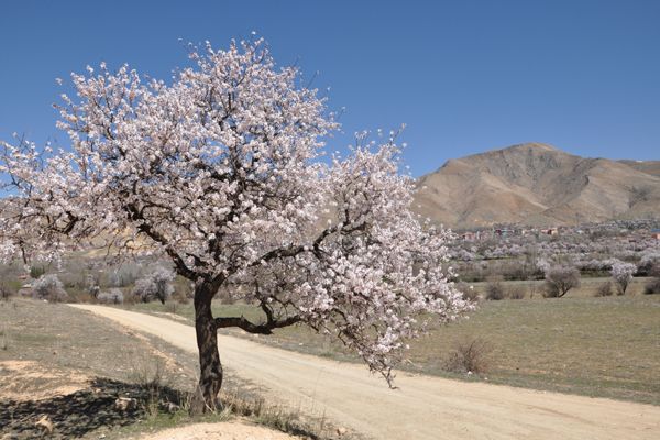 Tunceli'de İki Mevsim galerisi resim 10
