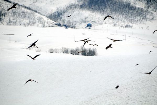 Tunceli'de İki Mevsim galerisi resim 2