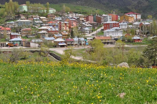 Pülümür’de Bahar Başkadır galerisi resim 1