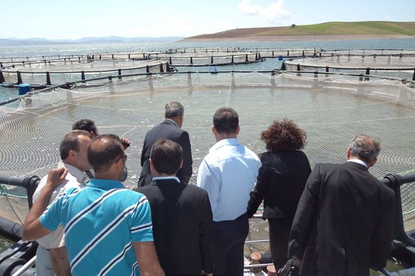 Çemişgezek Alabalık tesisleri ekonomik katkı sağlı galerisi resim 1