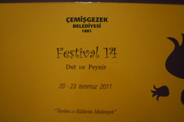 14. ÇEMİŞGEZEK DUT VE PEYNİR FESTİVALİ galerisi resim 1