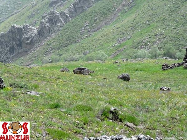 DERSİMDE YENİ VE ÖNEMLİ KAYITLAR - 2 galerisi resim 11